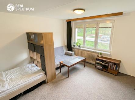 Pokoj | Pronájem bytu, 1+1, 42 m²