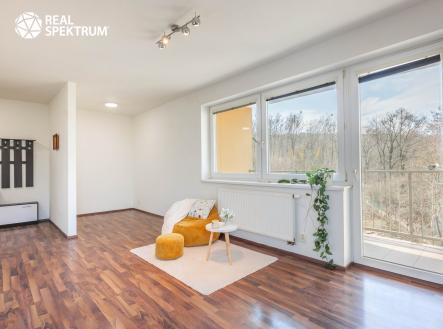 RS I K Lesu 1093-2 | Prodej bytu, 1+kk, 45 m²