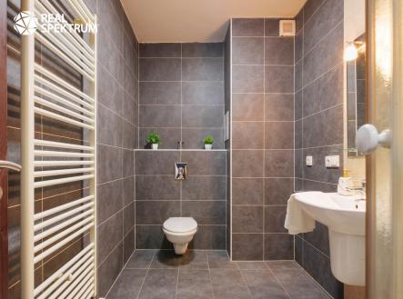 RS I K Lesu 1093-13 | Prodej bytu, 1+kk, 45 m²