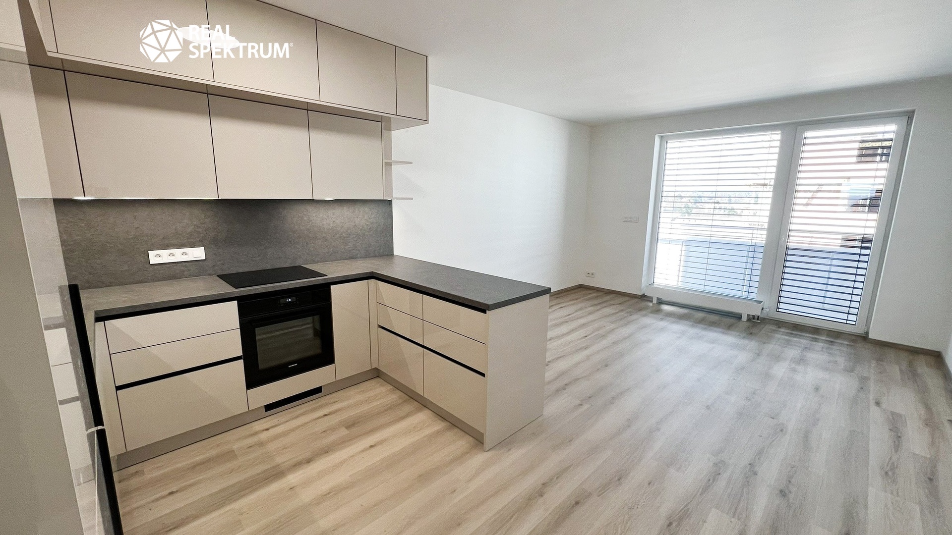 BYT JIŽNÍ I REALSPEKTRUM (11)