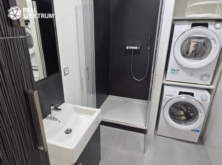 Byt č. 418 inzerce (7) | Pronájem bytu, 1+kk, 28 m²