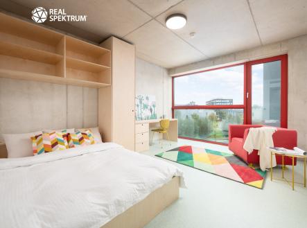 DSC_6627-Edit | Pronájem bytu, 2+1, 50 m²