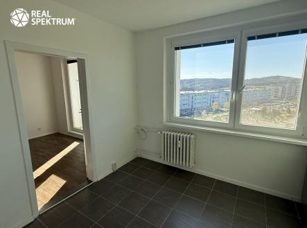 IMG_3701 | Pronájem bytu, 1+1, 42 m²