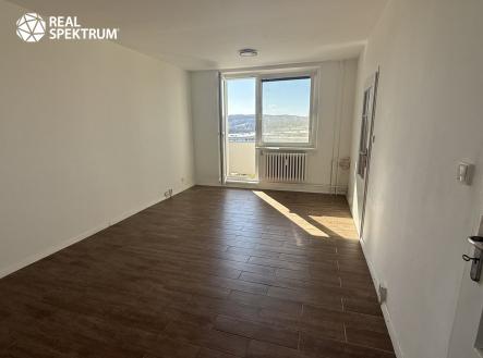 IMG_3690 | Pronájem bytu, 1+1, 42 m²