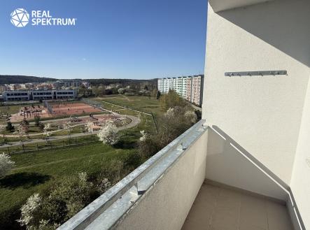 IMG_3691 | Pronájem bytu, 1+1, 42 m²