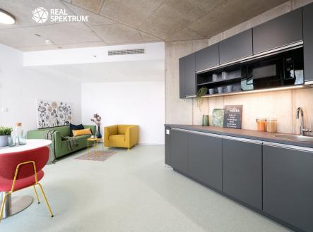 DSC_5583-Edit | Pronájem bytu, 2+kk, 50 m²