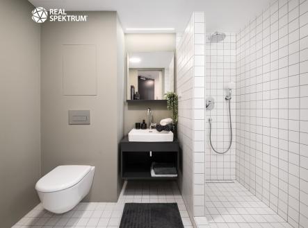 DSC_5580-Edit | Pronájem bytu, 2+kk, 50 m²