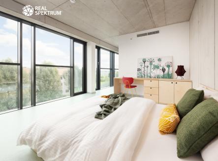 DSC_6551-Edit | Pronájem bytu, 2+kk, 50 m²