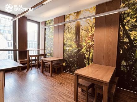 Kanceláře Uniqua Trnitá (7) | Pronájem - kanceláře, 374 m²