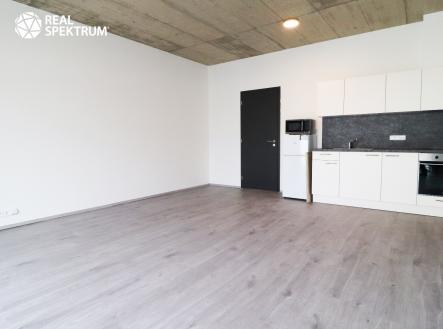 IMG_1675 | Pronájem bytu, 1+kk, 45 m²