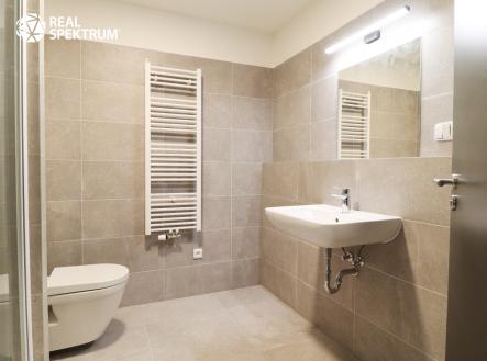 IMG_1670 | Pronájem bytu, 1+kk, 45 m²