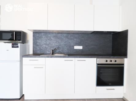 IMG_1676 | Pronájem bytu, 1+kk, 45 m²