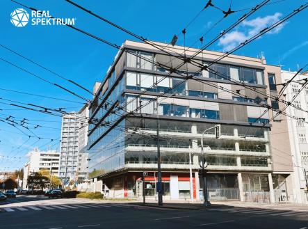 Pronájem_OP (3) | Pronájem - kanceláře, 256 m²