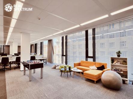 Pronájem_OP (4) | Pronájem - kanceláře, 256 m²