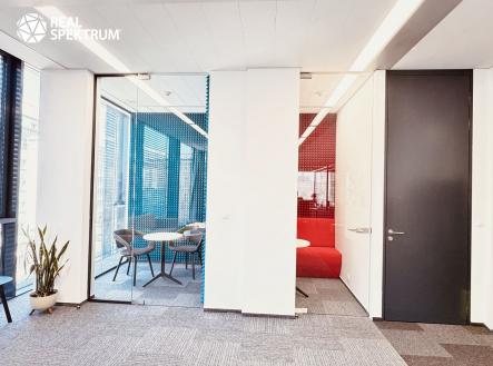 Pronájem_OP (6) | Pronájem - kanceláře, 256 m²