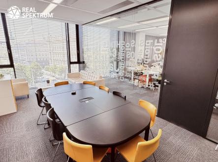 Pronájem_OP (10) | Pronájem - kanceláře, 256 m²