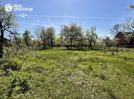 IMG_8757 | Prodej - pozemek pro bydlení, 980 m²
