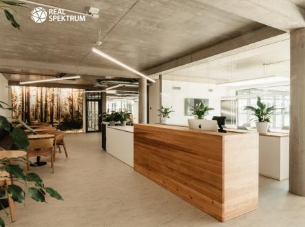 5 | Prodej - kanceláře, 823 m²