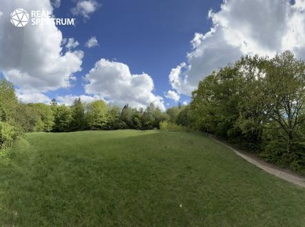 IMG_5900 | Prodej - pozemek, trvalý travní porost, 4 838 m²