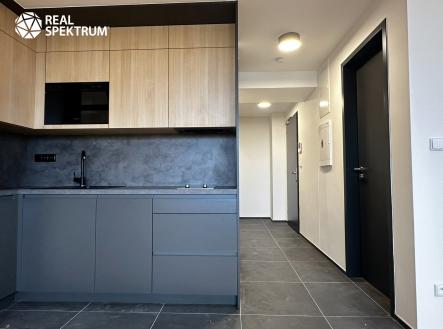 IMG_2448 | Pronájem bytu, 1+kk, 43 m²