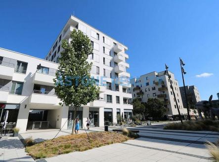 IMG_4659.JPG | Pronájem bytu, 2+kk, 55 m²