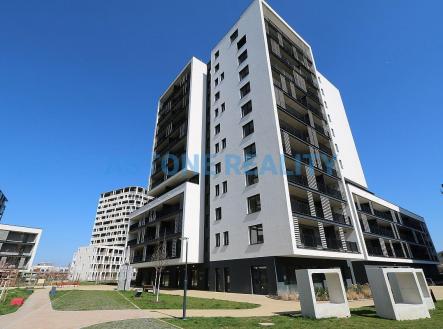 IMG_8982.JPG | Pronájem bytu, 1+kk, 39 m²