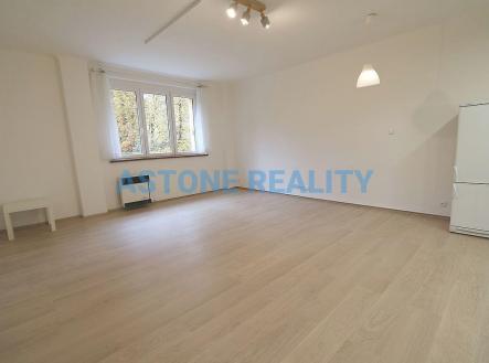 IMG_5621.JPG | Pronájem bytu, 1+kk, 45 m²