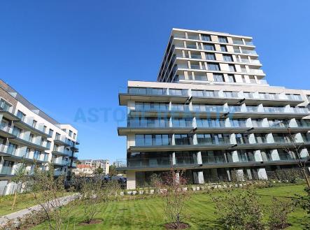 IMG_4656.JPG | Pronájem bytu, 2+kk, 63 m²