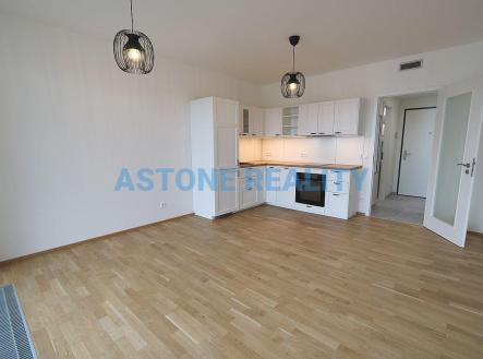 IMG_8817.JPG | Pronájem bytu, 1+kk, 40 m²