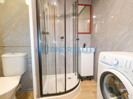 IMG_8811.jpg | Pronájem bytu, 1+kk, 39 m²