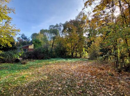 Prodej - pozemek pro bydlení, 1 126 m²