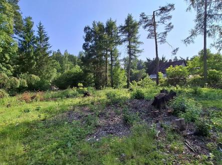 Červen 2025 | Prodej - pozemek pro bydlení, 1 126 m²