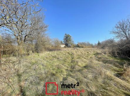 1 | Prodej - pozemek, zahrada, 2 493 m²