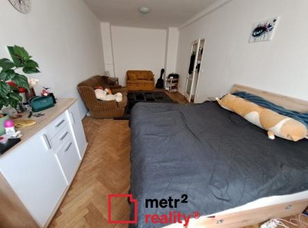 20250721_142922 | Pronájem bytu, 1+1, 45 m²