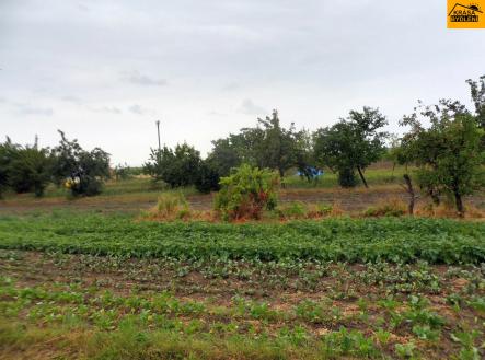 Prodej - pozemek, zemědělská půda, 935 m²