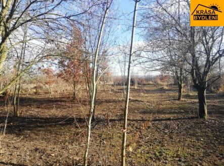 Prodej - pozemek, zahrada, 470 m²