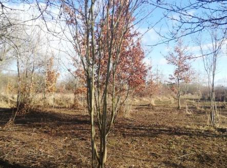 Prodej - pozemek, zahrada, 470 m²