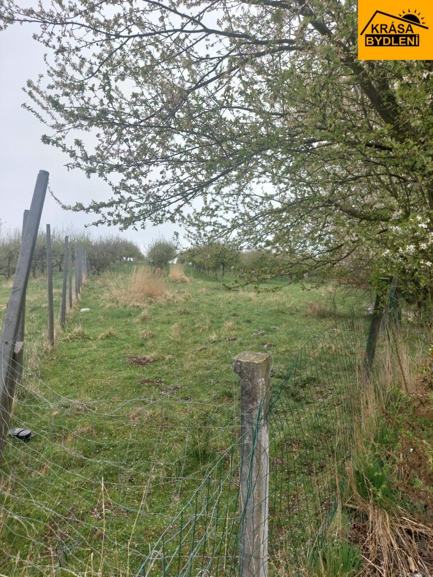 Prodej pozemků v Polomi