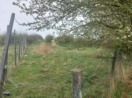 Prodej - pozemek, ostatní, 9 766 m²