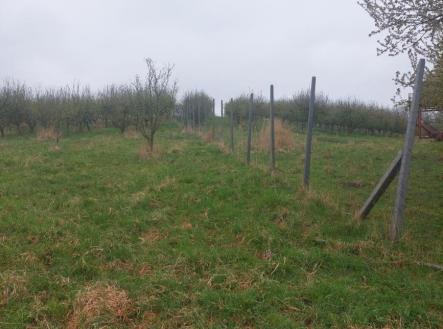 Prodej - pozemek, ostatní, 9 766 m²