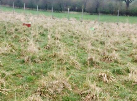 Prodej - pozemek, trvalý travní porost, 3 371 m²