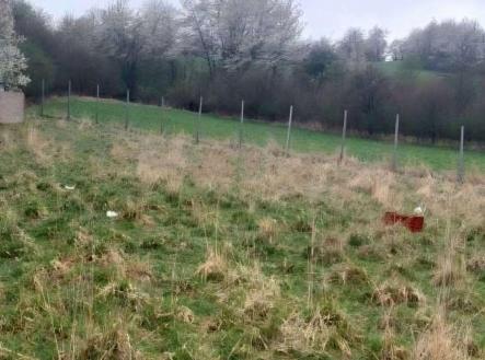 Prodej - pozemek, trvalý travní porost, 3 371 m²