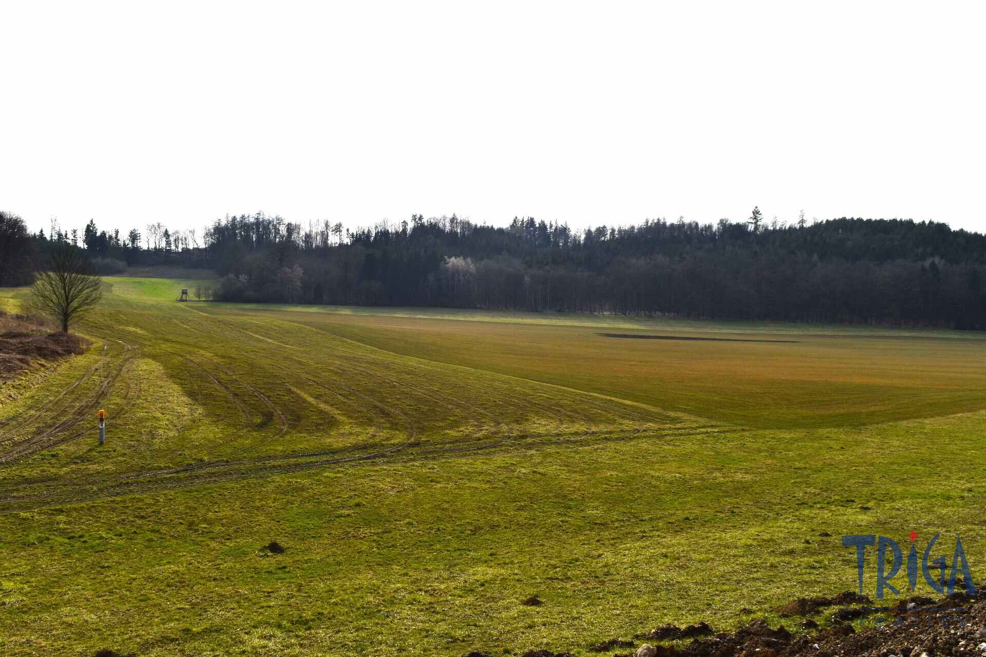 Dolany - Krabčice - soubor pozemků s výměrou 12 880 m2