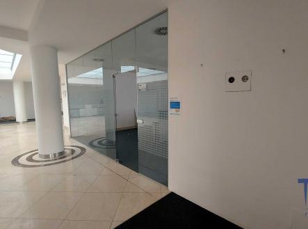 Pronájem - kanceláře, 1 243 m²