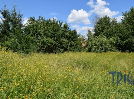 Prodej - pozemek pro bydlení, 1 868 m² obrázek