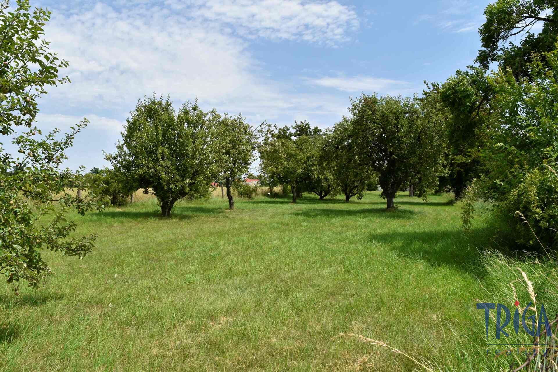 Rychnovek - Zvole: Prodej souboru pozemků o výměře 5122 m2
