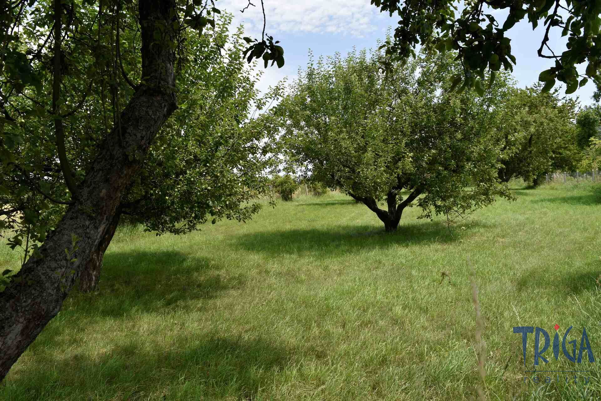Rychnovek - Zvole: Prodej souboru pozemků o výměře 5122 m2