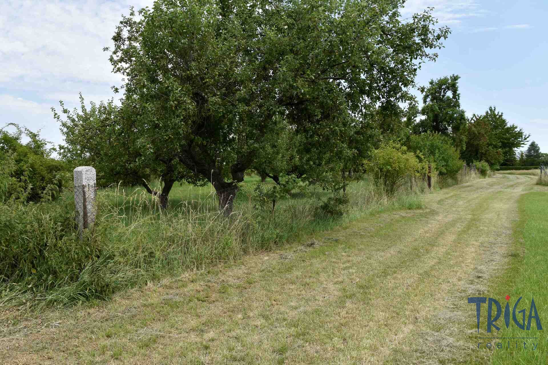 Rychnovek - Zvole: Prodej souboru pozemků o výměře 5122 m2