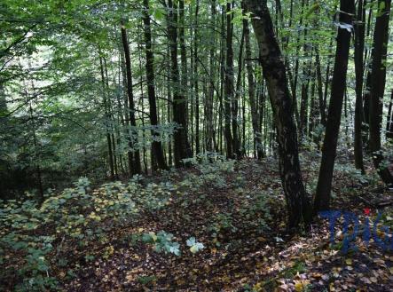 Prodej - pozemek, ostatní, 13 052 m²