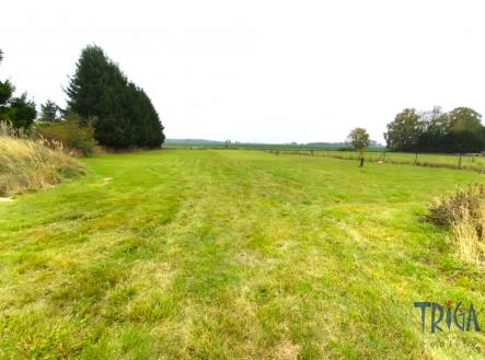 Prodej - pozemek pro bydlení, 3 593 m²